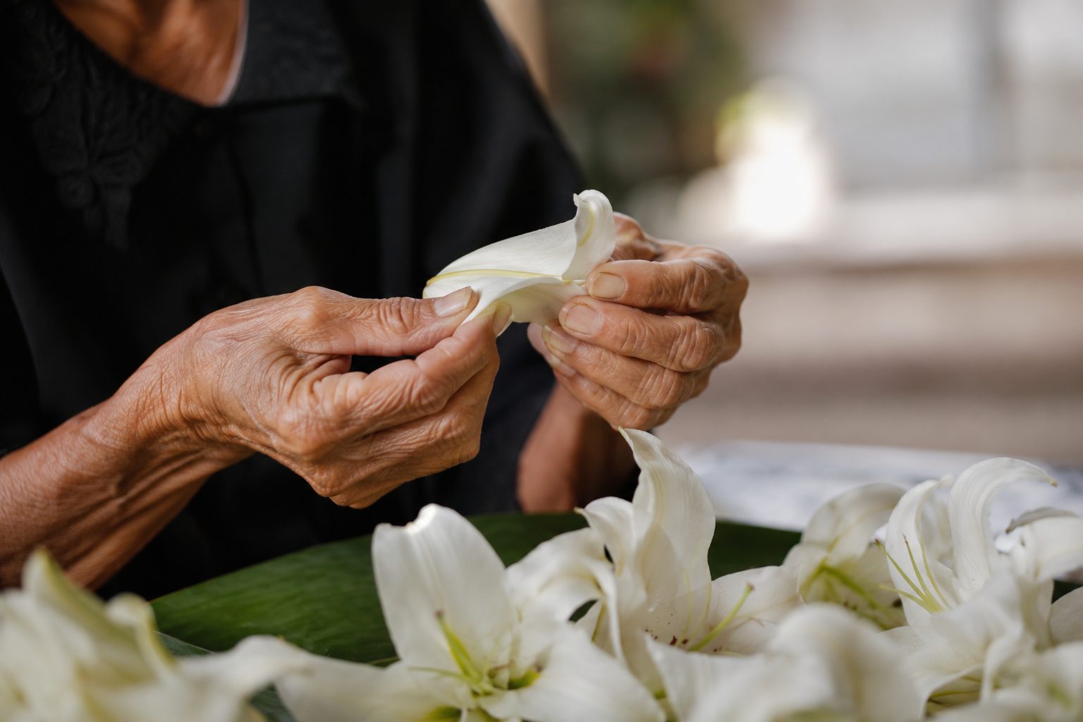 Close-up of weathered hands gently arranging a white lily among funeral flowers