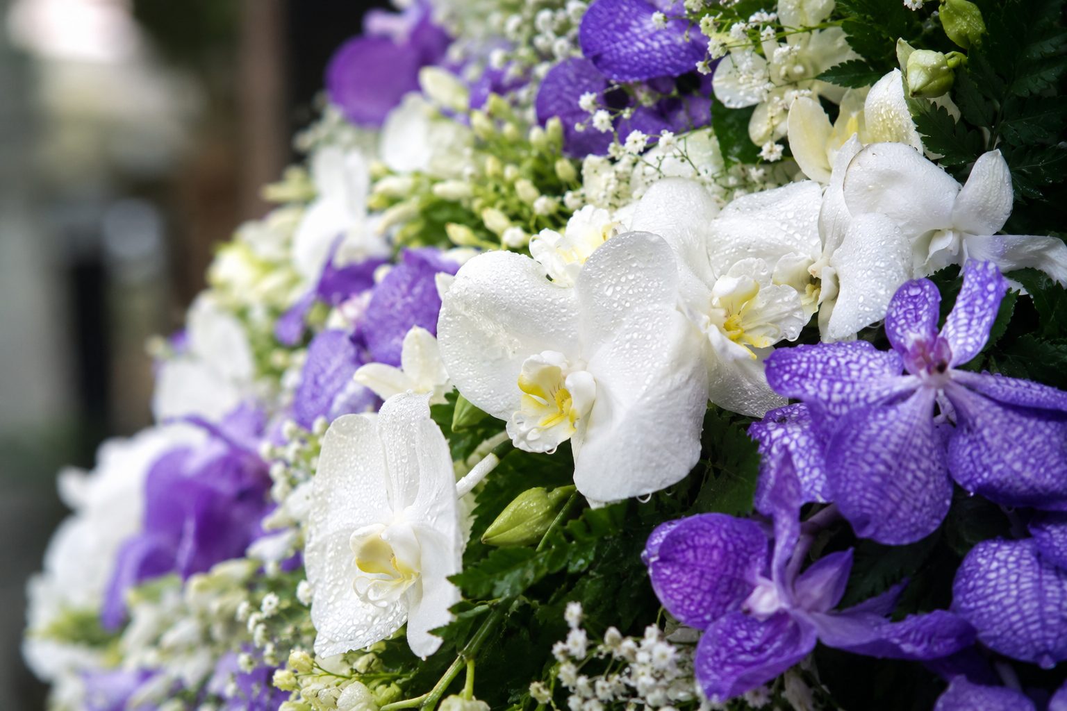 Close-up of dew-kissed white orchids and purple vanda blossoms in a funeral flower arrangement