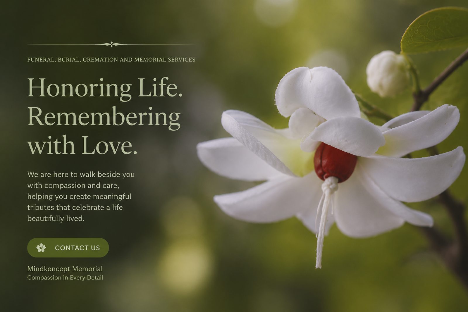 Close-up white blossom — Honoring Life, Remembering with Love