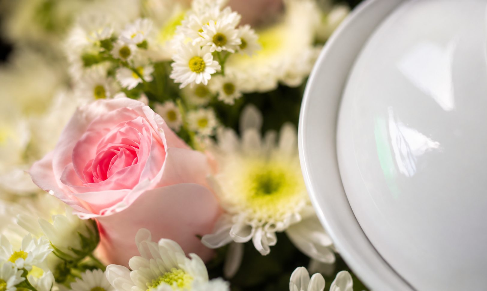 Fresh pink rose and white chrysanthemums beside a white memorial urn